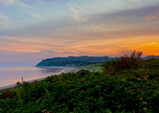 Beach Sunrise by Linda Burke