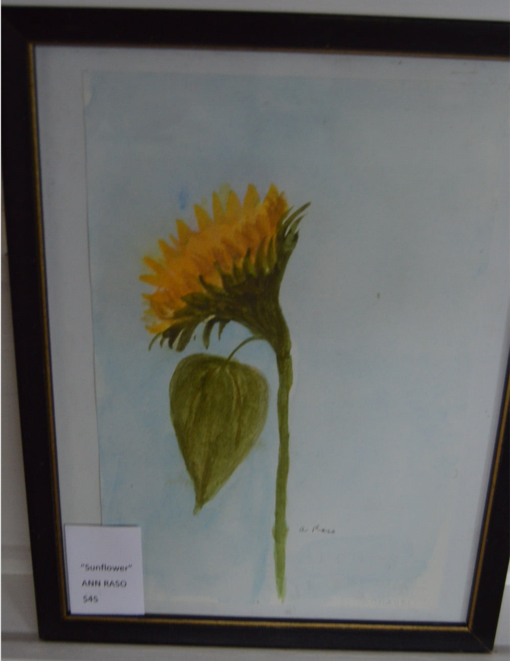 Sunflower by Ann Raso