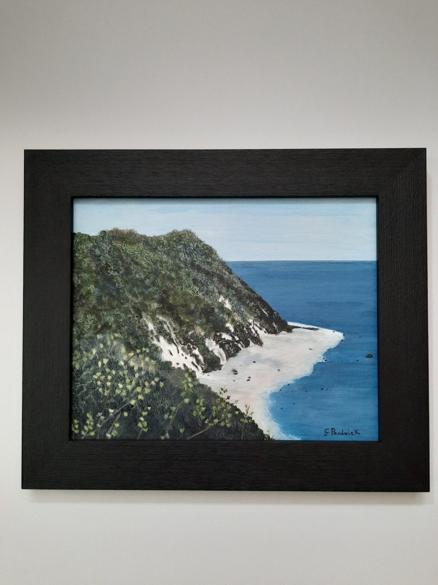 The Bluffs by Clara Pendzick