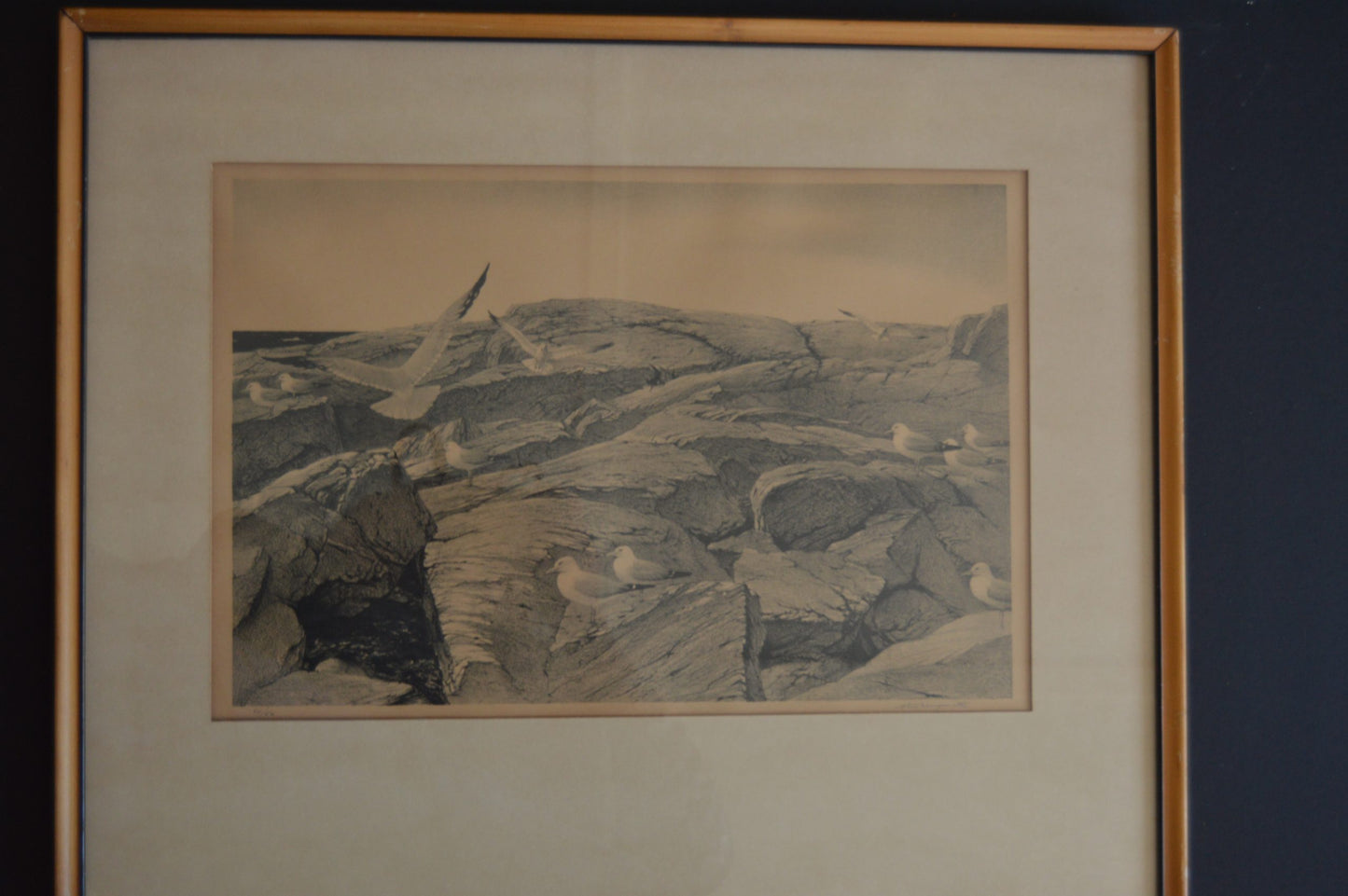 The Outer Shore by Stow Wengenroth