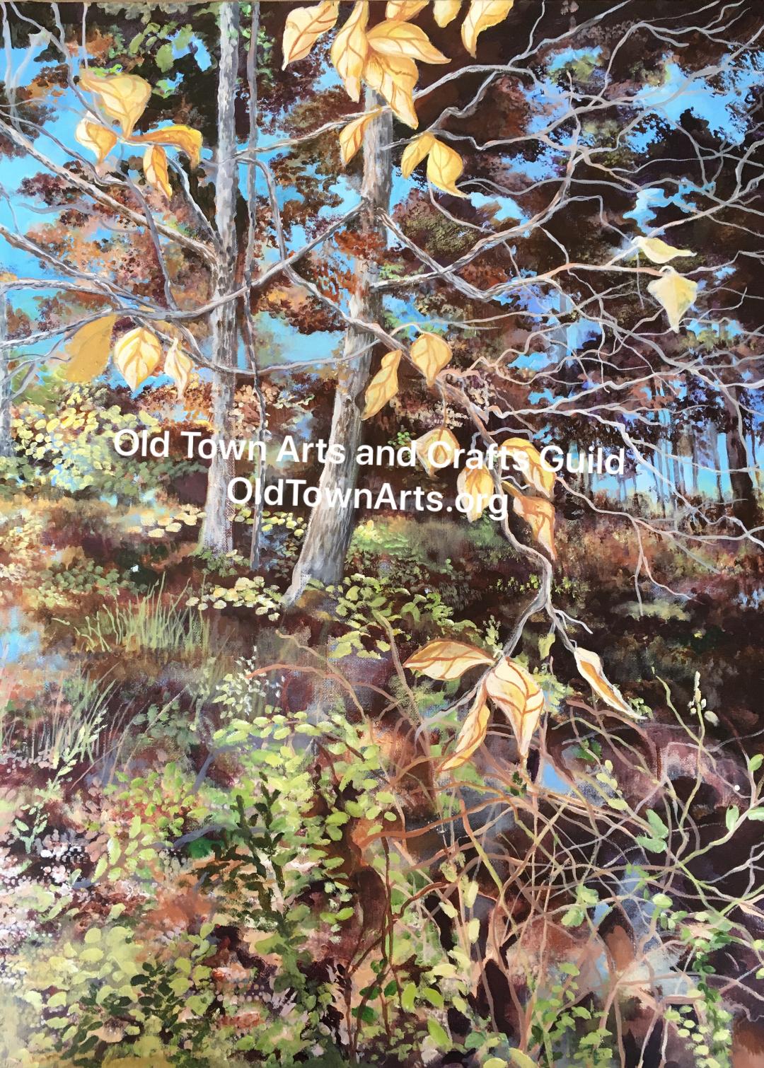 In the Woods” 11″ X 14 Gallery Wrapped Canvas Print by Lee Harned