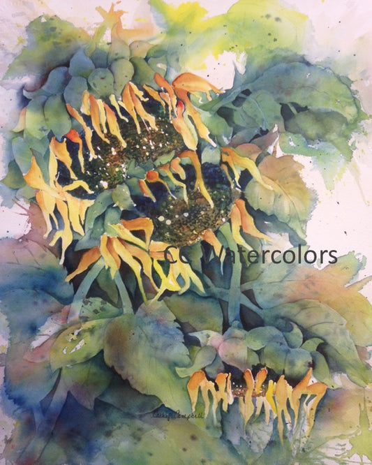 Last of the Season, 11 x 14 Watercolor Print of Sunflowers, Matted to Fit a 16 X 20 Frame, by Cathy Campbell