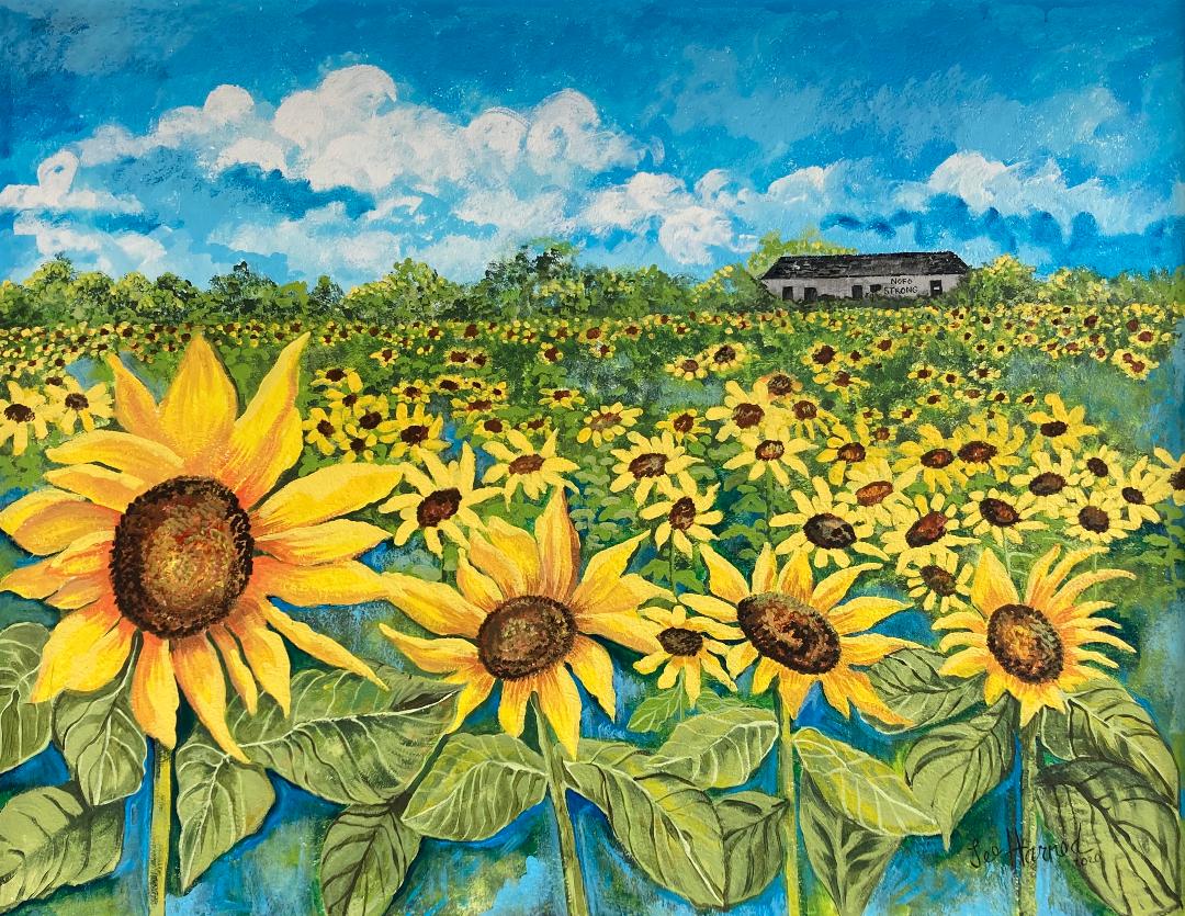 Sunflower Field by Lee Harned