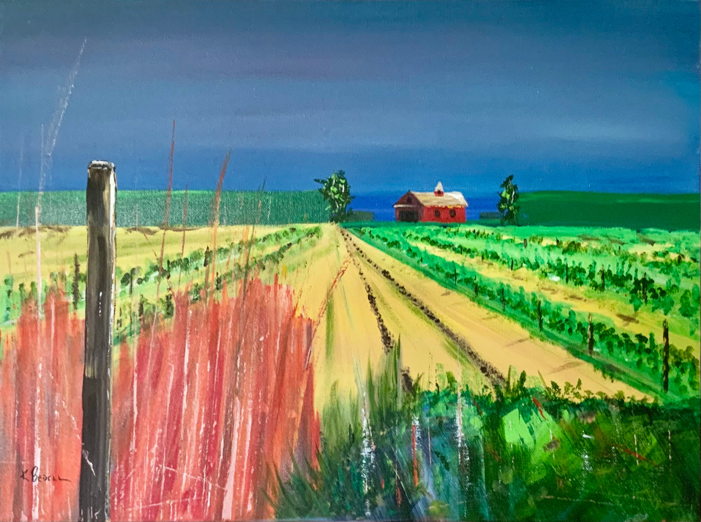 The Vineyard Gallery Wrapped Canvas Print 16X20 by Kip Bedell