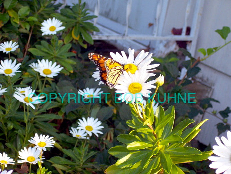 Rest Stop by Bob Kuhne