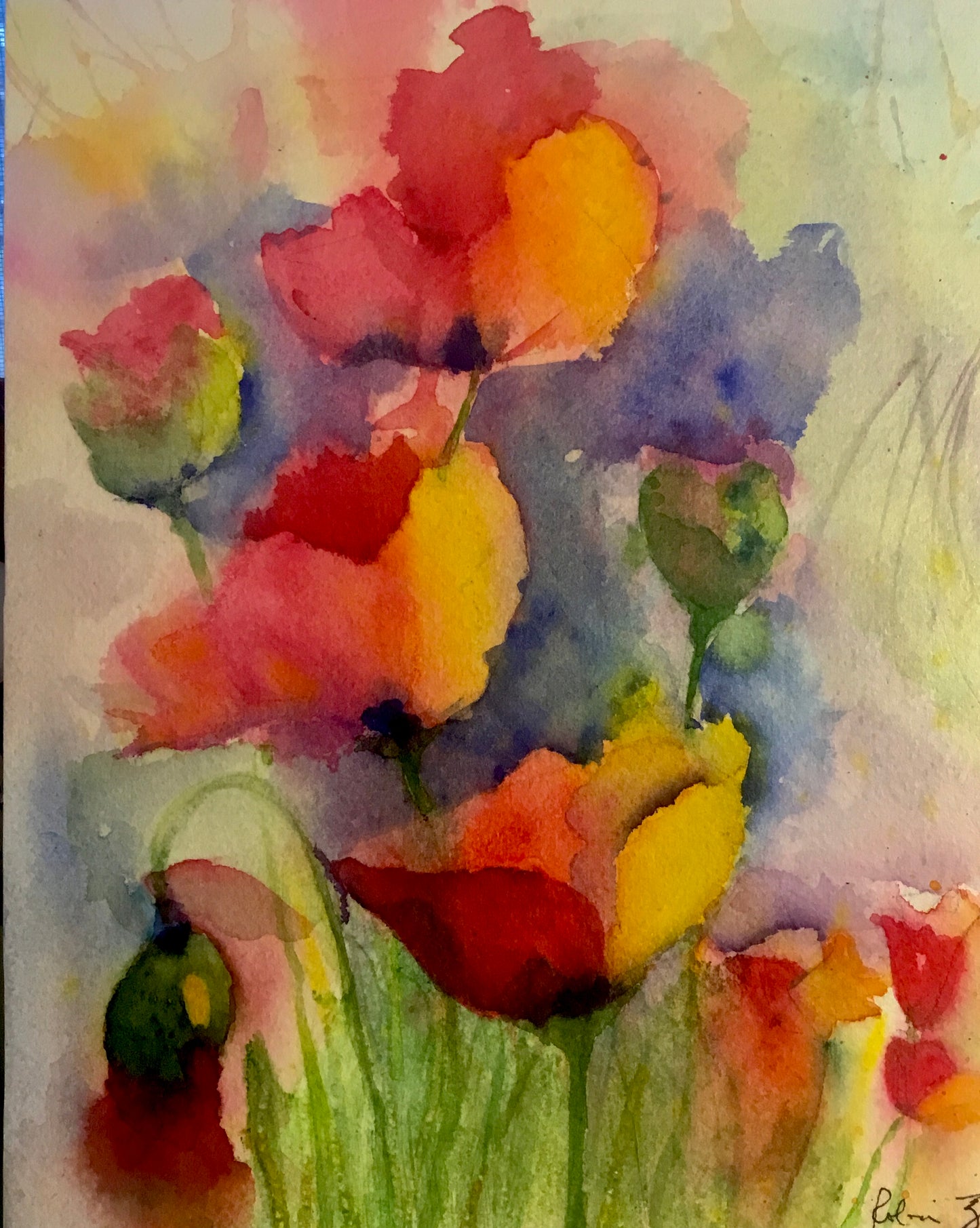 Poppies by Robin Ziemacki