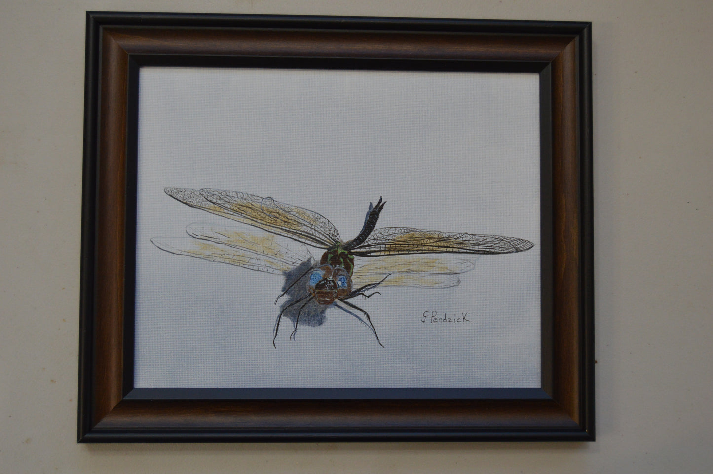 Dragonfly by Clara Pendzick