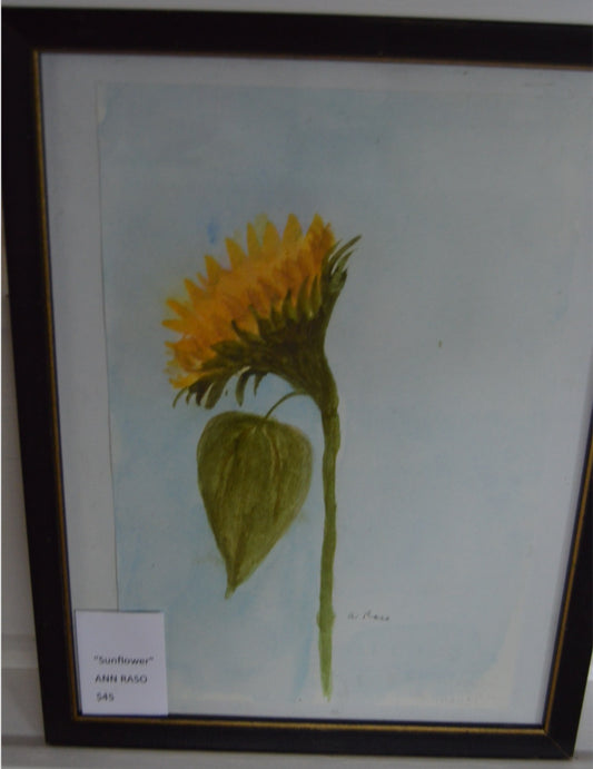 Sunflower by Ann Raso