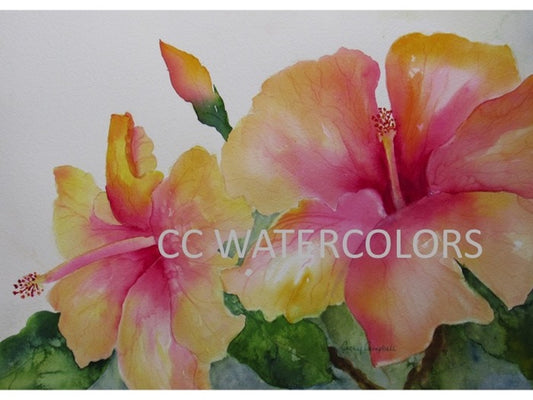 Showy Perfection by Cathy Campbell (Fine Art-Original)