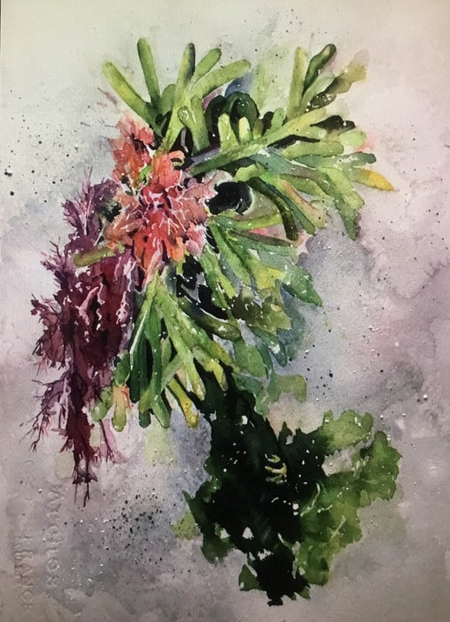 Beach Bouquet by Cathy Campbell (Fine Art-Original)