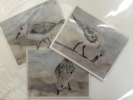 Beach Comber Note Card Set of Shorebirds by Cathy Campbell