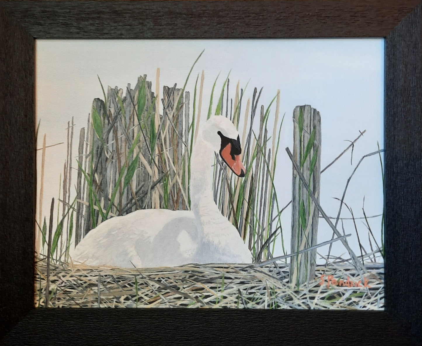 Swan by Clara Pendzick