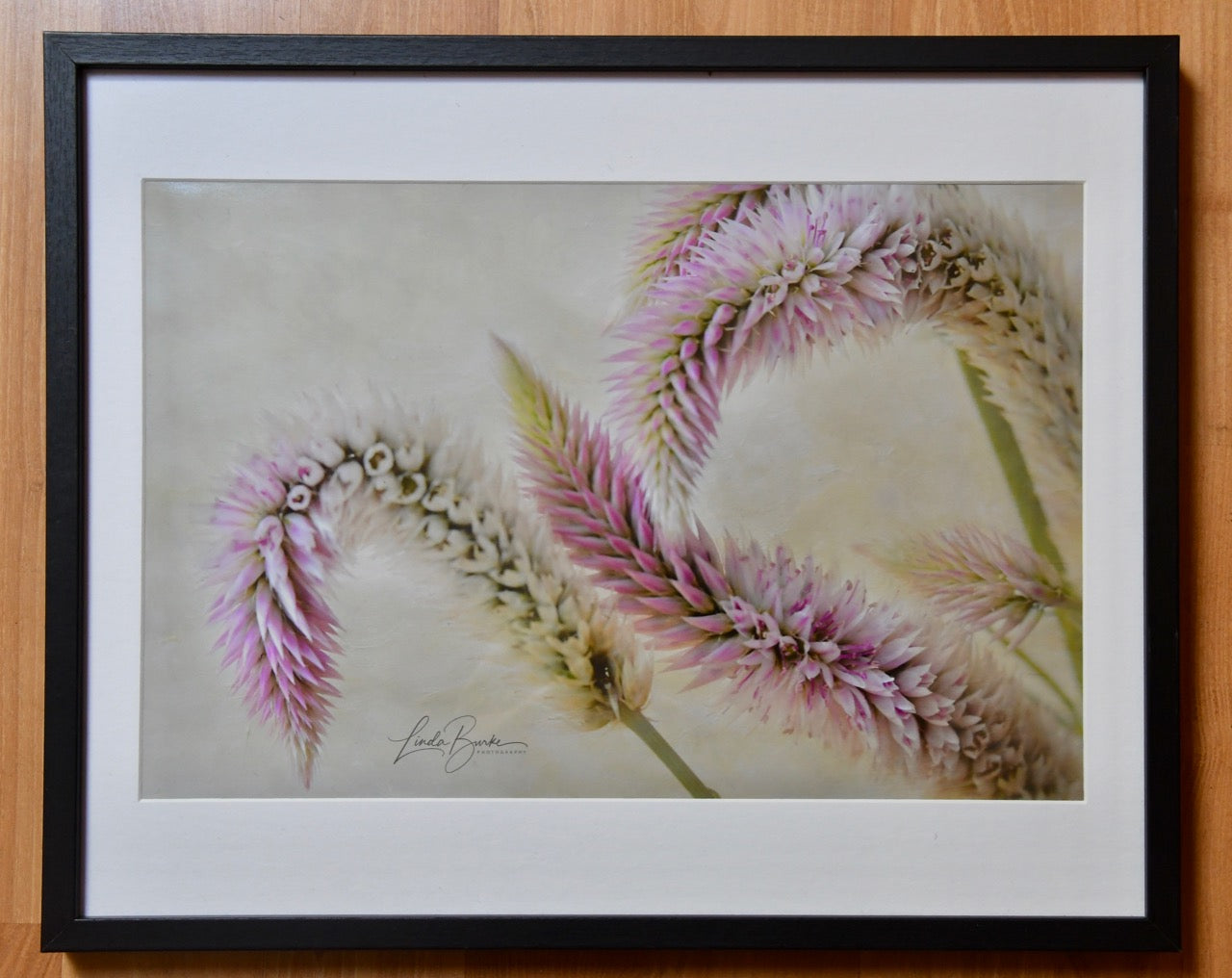 Tickled Pink 12 X 18 Fine Art Photo in a 16 X 20 Frame by Linda Burke