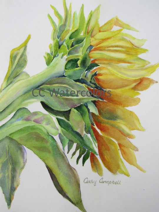 Sun-kissed, 8″ x 10″ Watercolor Print, Matted to Fit an 11″ X 14″ Frame, by Cathy Campbell