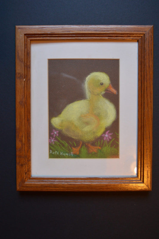 Duckling by Ruth Hamill